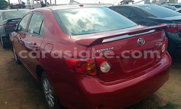 Buy Used Toyota Corolla Red Car in Lome in Maritime Buy Used Toyota Corolla Red Car in Lome in Maritime