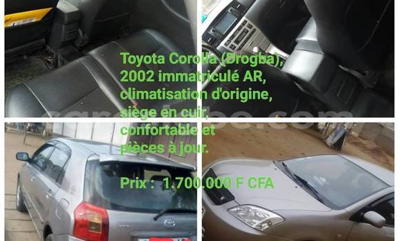 Acheter Occasion Voiture Toyota Corolla Gris à Lomé, Maritime Acheter Occasion Voiture Toyota Corolla Gris à Lomé, Maritime