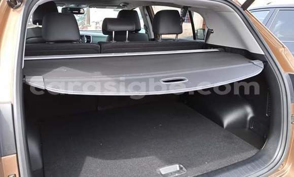 Buy Used Kia Sportage Brown Car in Lome in Maritime Buy Used Kia Sportage Brown Car in Lome in Maritime
