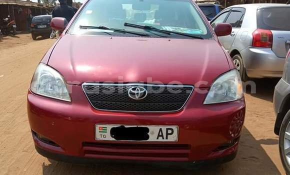 Buy Used Toyota Corolla Silver Car in Lome in Maritime Buy Used Toyota Corolla Silver Car in Lome in Maritime