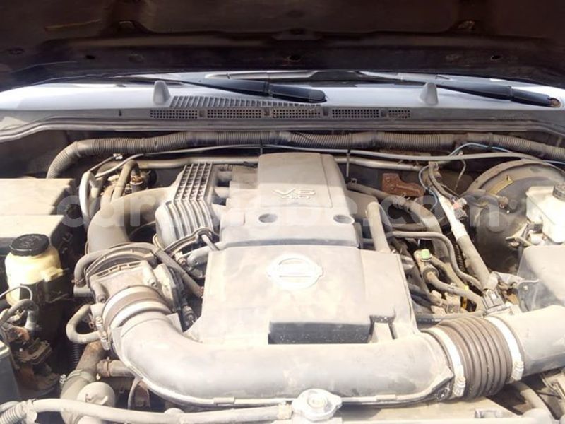 Big with watermark 52823435 255567105363951 7015263177420046336 n