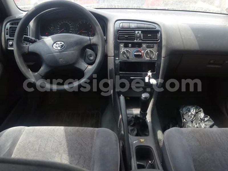 Big with watermark 52323663 253769618877033 7058023249048764416 n