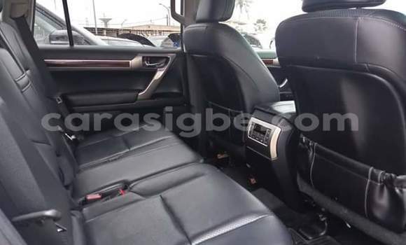 Buy Used Lexus GX 460 Silver Car in Lome in Maritime Buy Used Lexus GX 460 Silver Car in Lome in Maritime