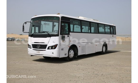 Acheter Import Voiture TATA Xenon Blanc à Import - Dubai, Togo