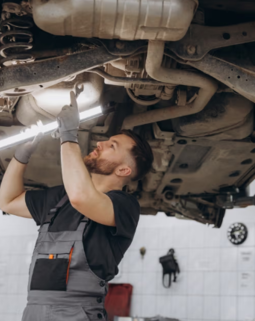 Thumb screenshot 2026 03 17 112129